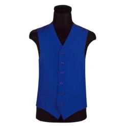 Gilet Blauw