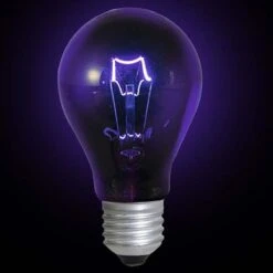 Blacklight Lamp (220V)