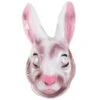 Plastic Masker Konijn / Paashaas